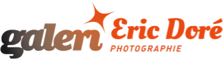 Logo Eirl Eric Dore Galerie E2